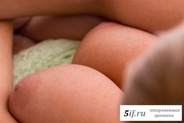 Крупным планом показывает тити большегрудая самка
