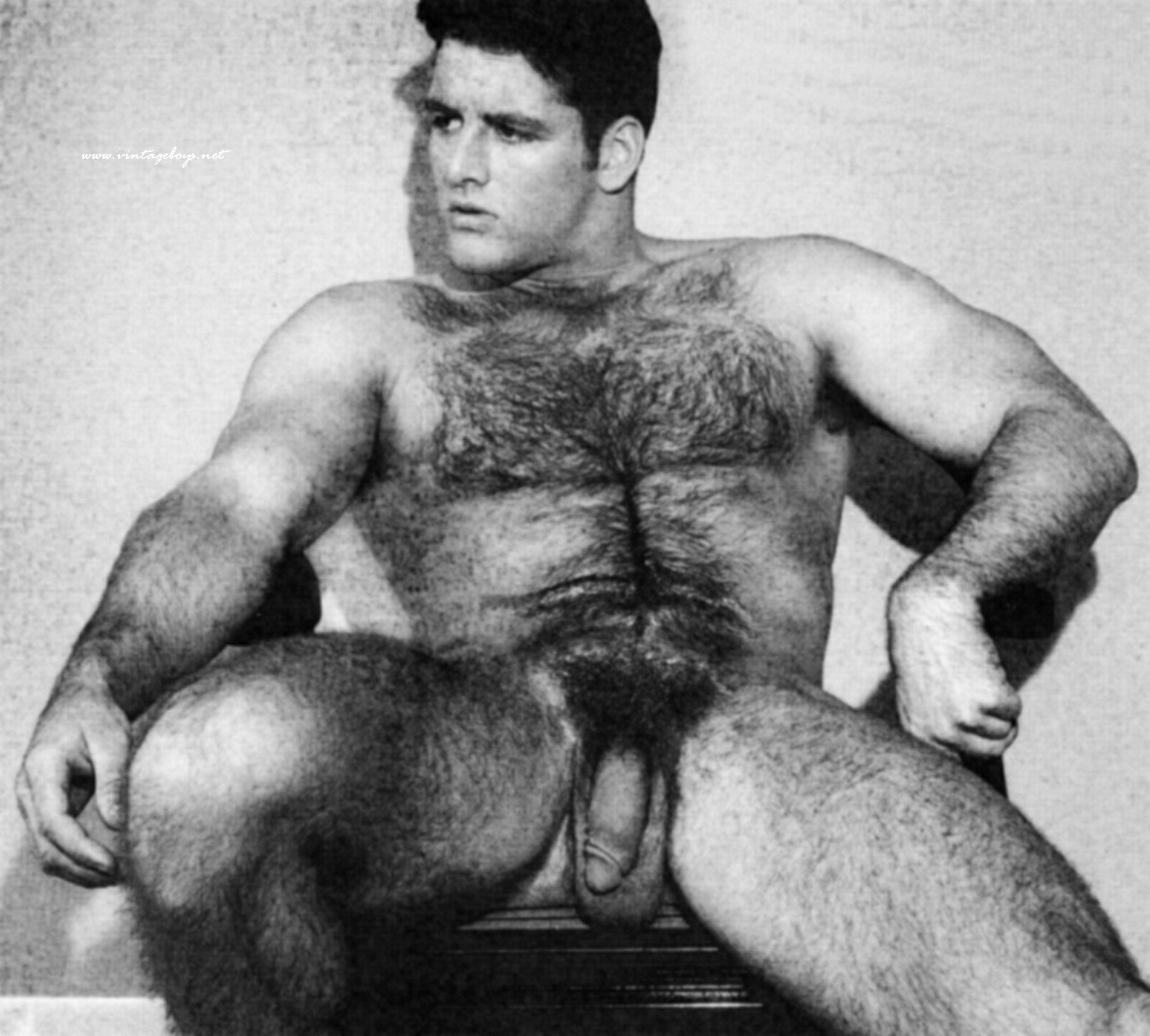 Vintage hairy gay porn