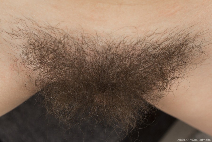 Волосатая вагина с черными волосами