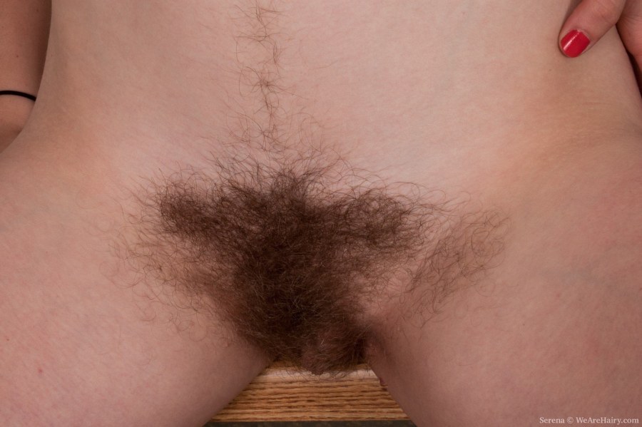 Красивые волосатые женские лобки