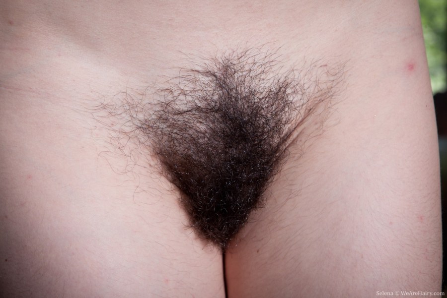 Волосатые гениталии женщин