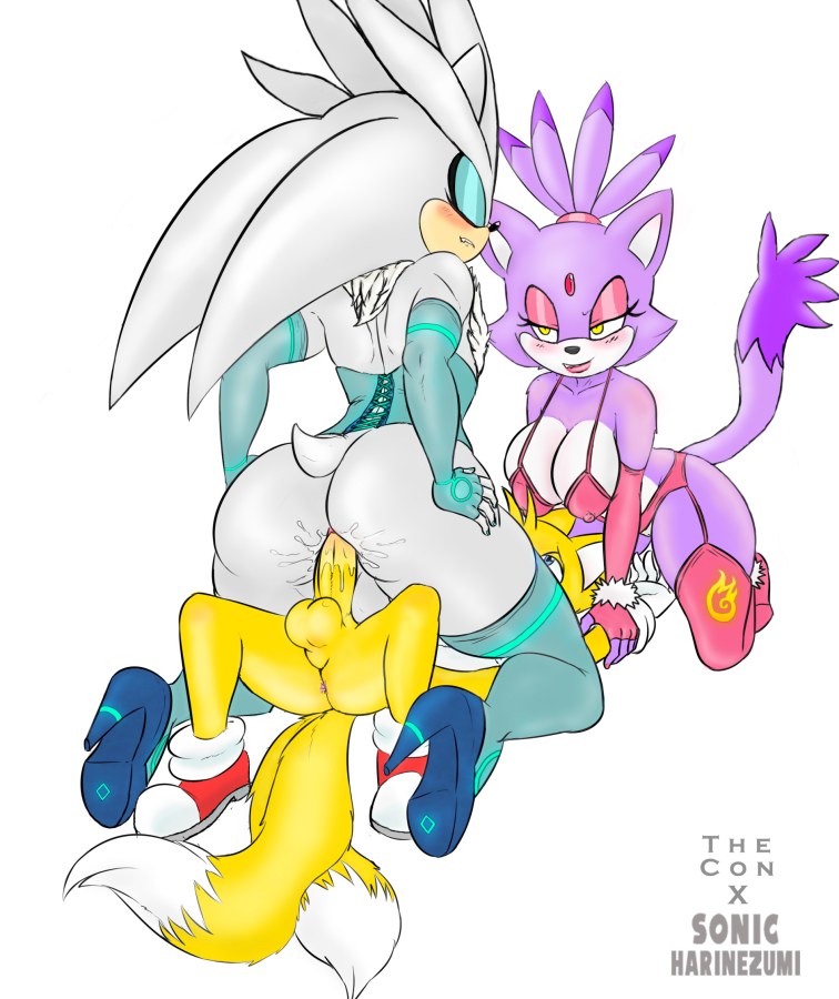 Эми Руж Блейз из Соника хентай