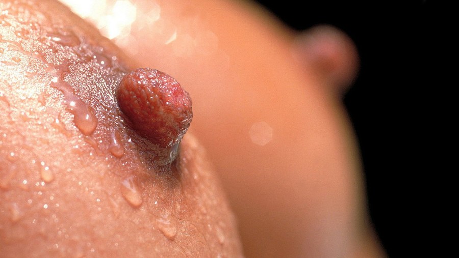 Japanese lesbians nipple to nipple rubbing