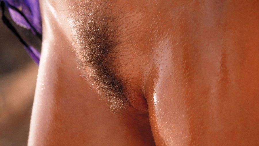 Красивый лобок без волос