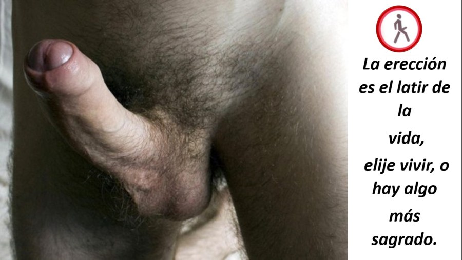 Волосатая головка члена