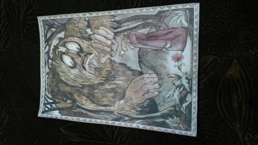 Аленький цветочек растение