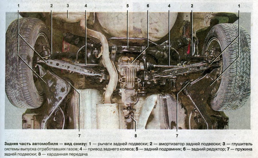 Волосатый член в заднице