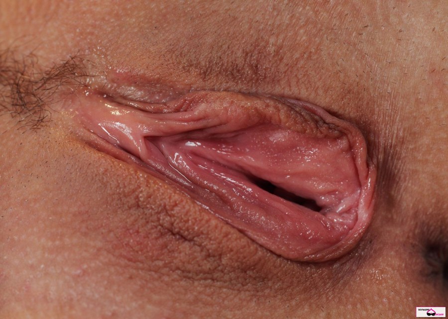 Женское влагалище крупным планом