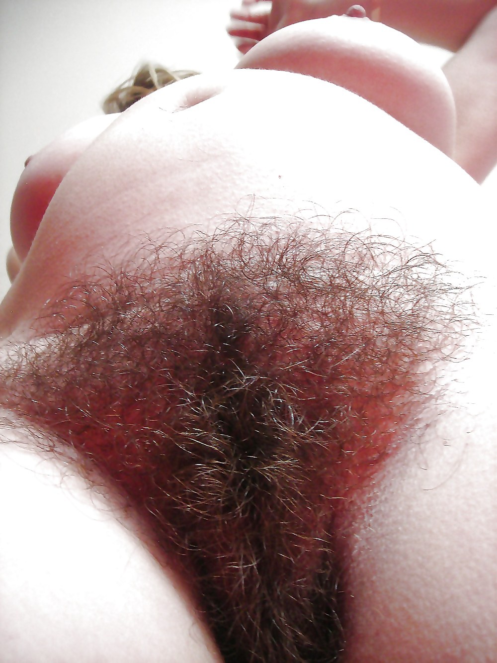 Волосы на пизде до пупа в ебле (72 фото)