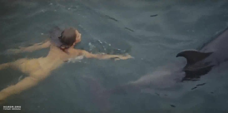 Голые артисты телеведущие