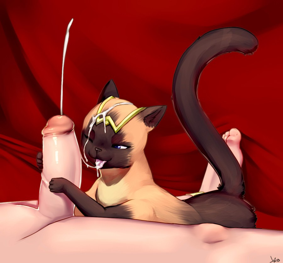 Коты порнографические