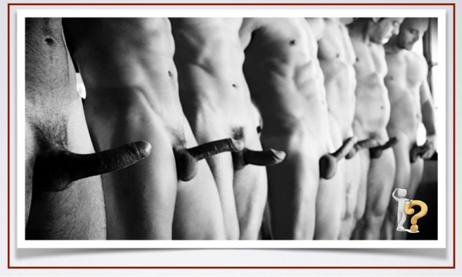 Много красивых мужских членов