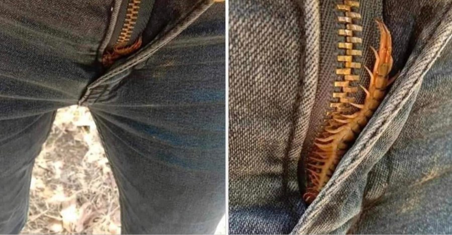 Джинсы на кнопках вместо молнии