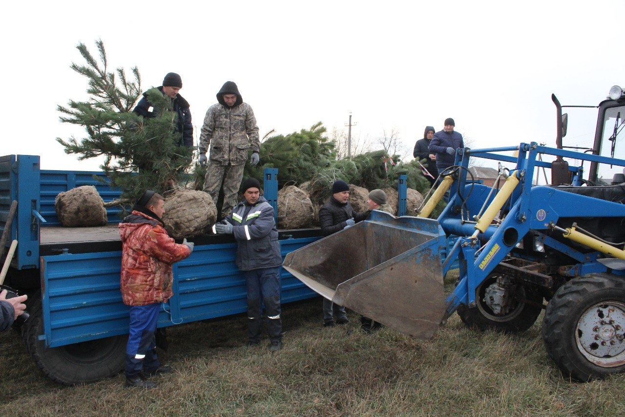 Оао викор новопокровская