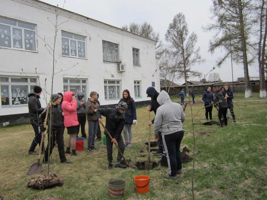 1929 Год колхоз им. Мичурина в Тюменской области
