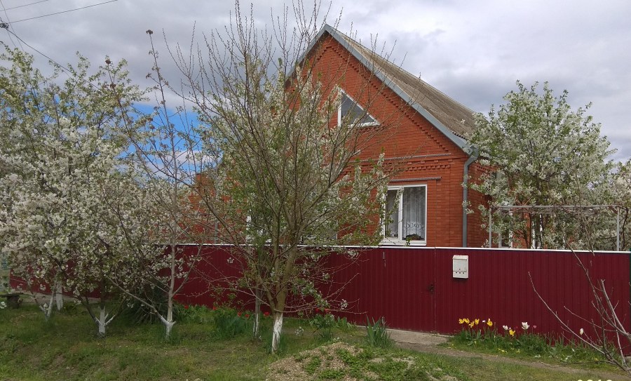 Баева Евгения Перемышль