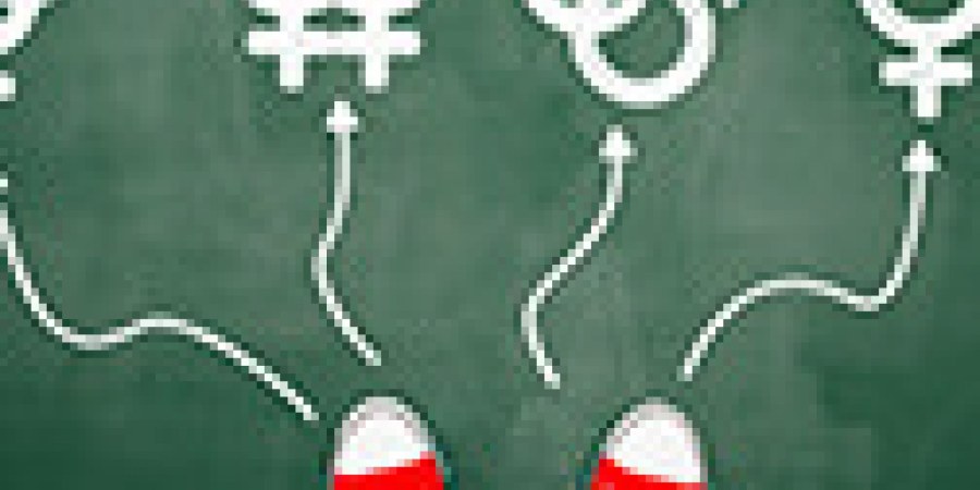 Минни Маус и Эми Роуз