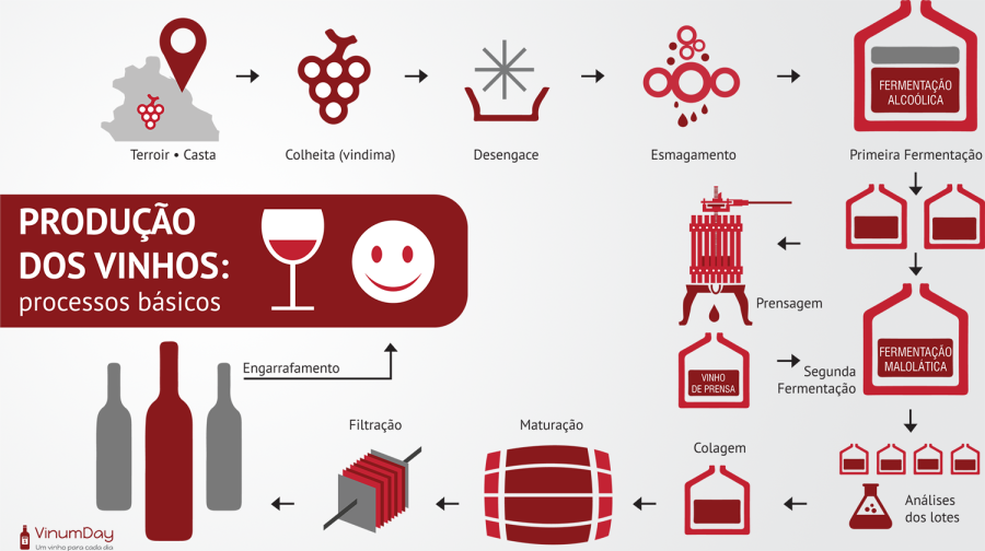 Каролина Вигно