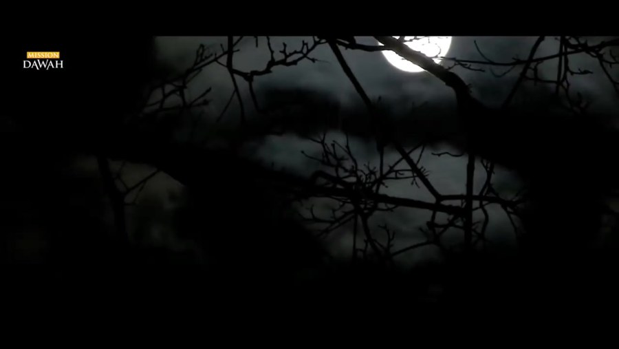 Амина Катинова Максим