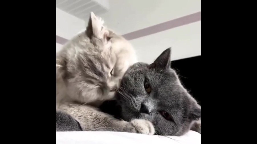 Расписание врачей специалистов