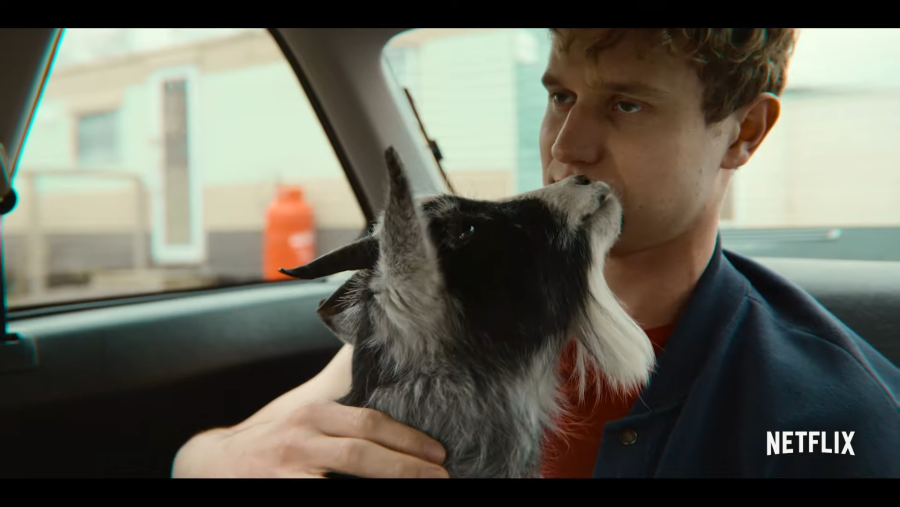 Таня Кузнецова Михарева