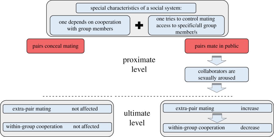 Амбер Джейн секретарша