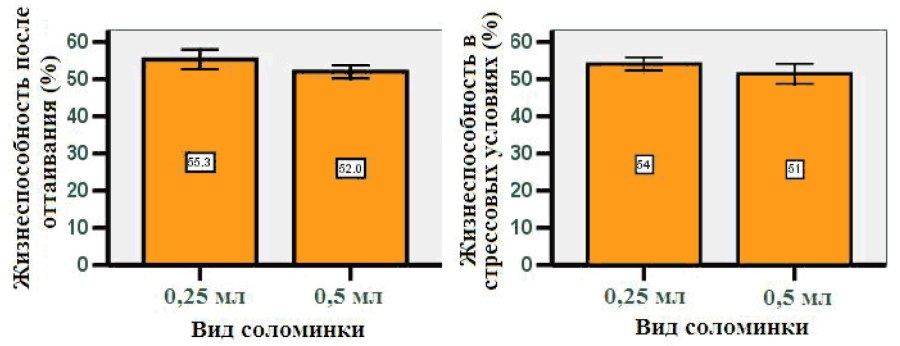 СБП система быстрых платежей приложение