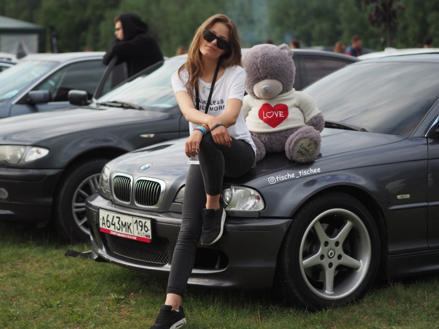 Кот на желтом фоне