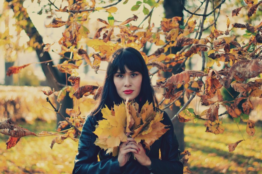 Pz19jb карбюратор