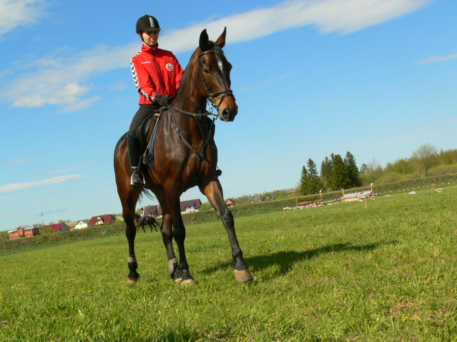 Kerama-Marazzi sg634200r Риальто серый