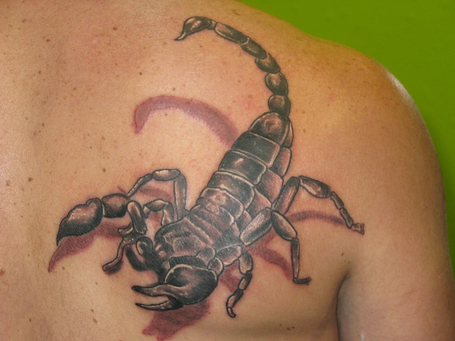 Знак зодиака Скорпион