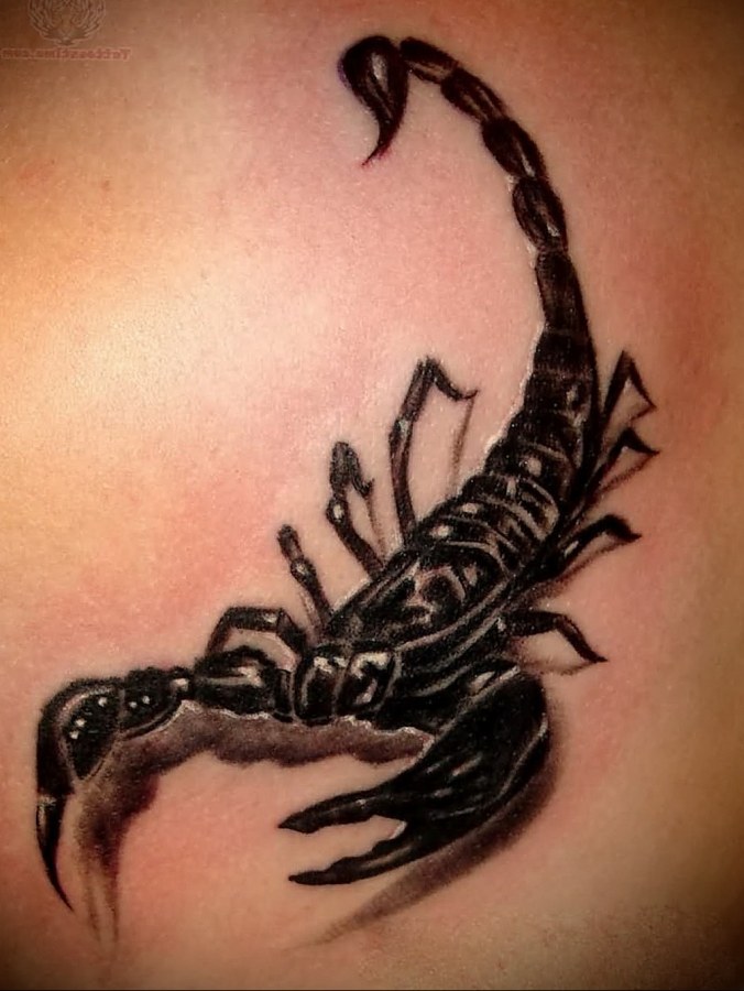 Тату дракон на спине у девушки