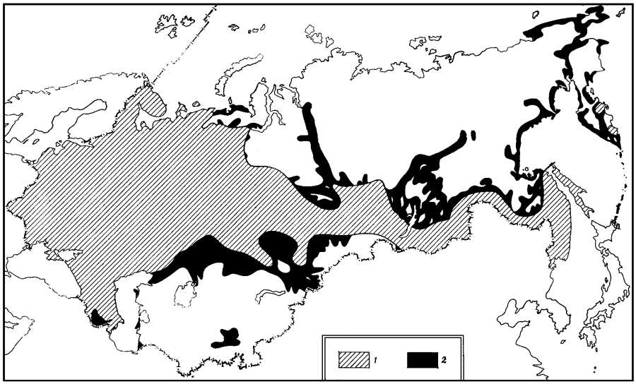 Вика и Влад