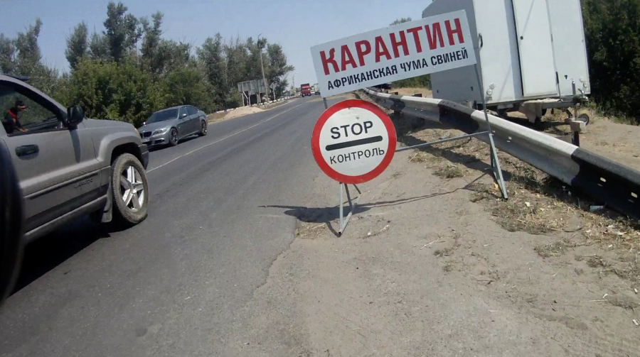 Стоп контроль