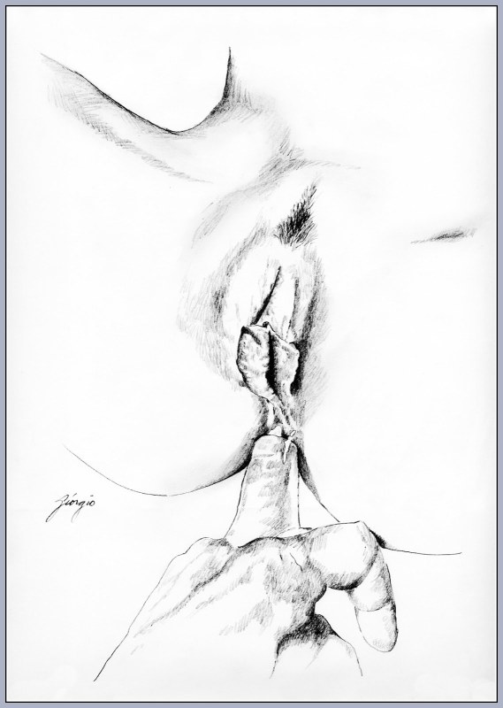 Женская вагина рисунок