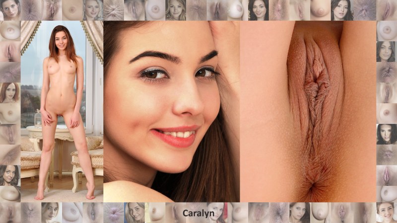 Лицо и вагина фотомодели