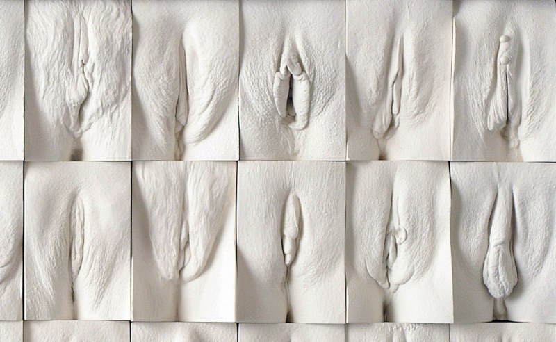 Стена вагин Джейми Маккартни