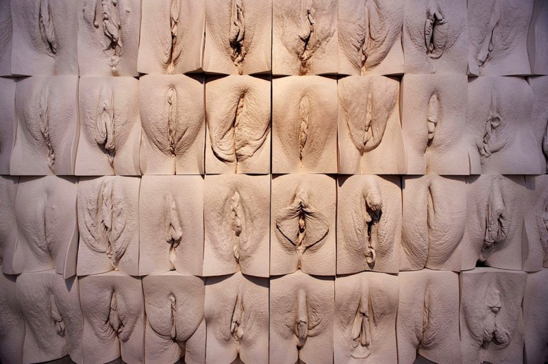 Стена вагин Джейми Маккартни