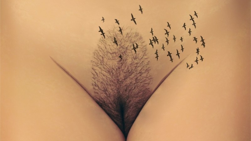 Интимная стрижка женские