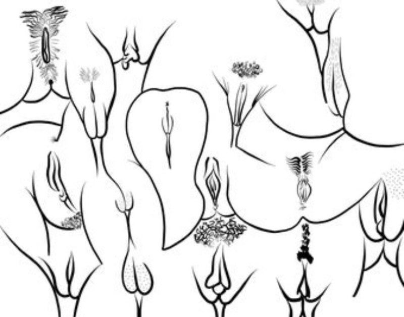 Стилизованные изображения вагины