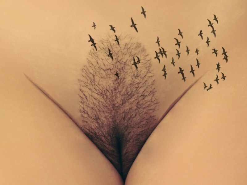 Женские интимные прически