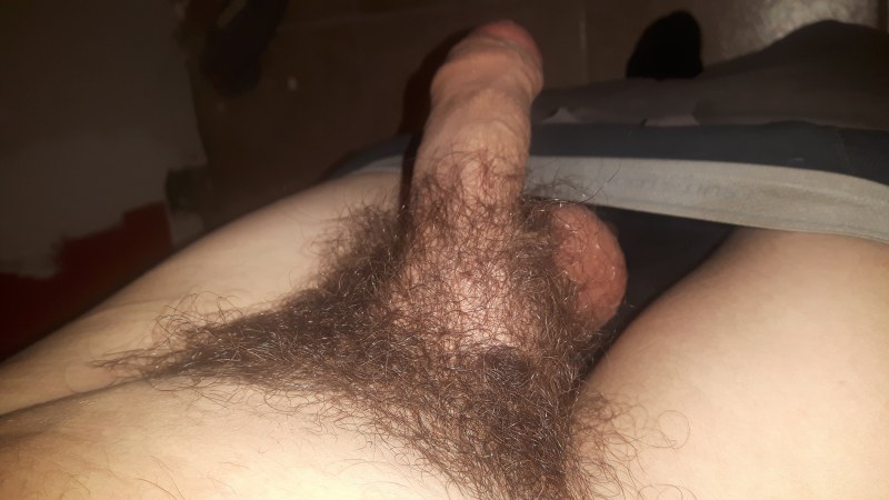 Маленький волосатый член